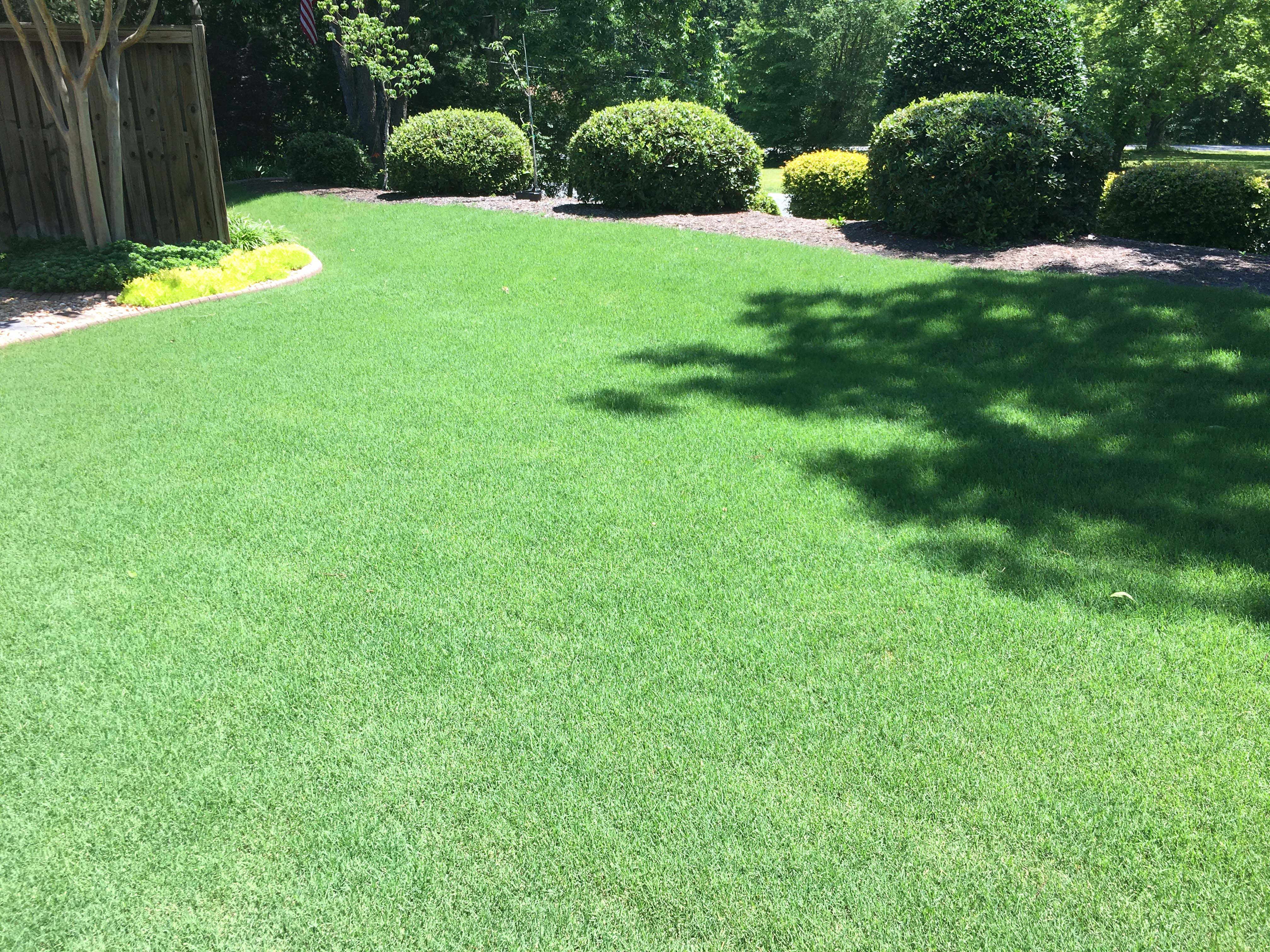 lawn fertilization fountain inn and simpsonville sc